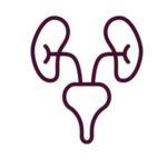 poradnia urologiczna Mikołów